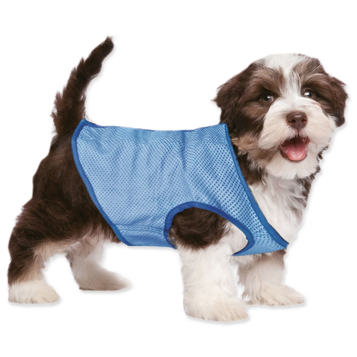 Vesta Dog Fantasy chladící XL