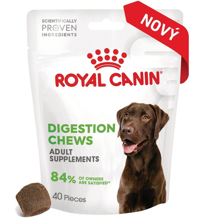 Royal Canin Digestion Adult Dog Supplements 160g