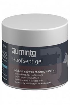 Hoofsept gel na kopyta 400 g + štětec