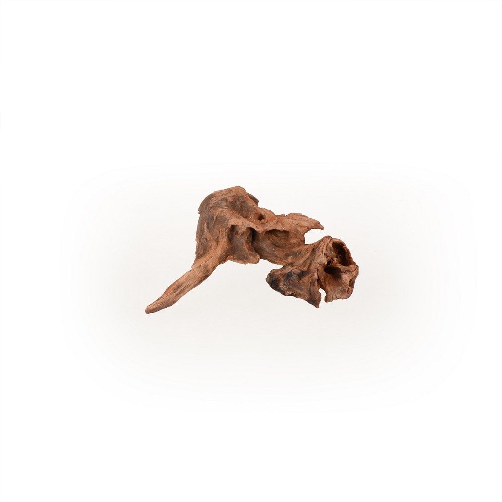Coral Driftwood XS, 10-20cm