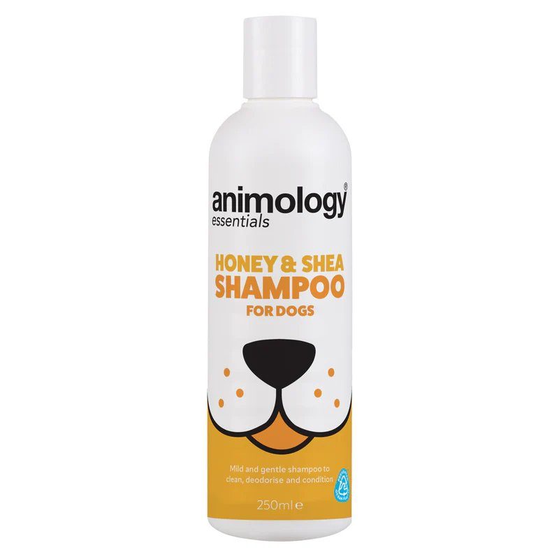 Animology Essentials Šampon pro psy med a bambucké máslo 250ml