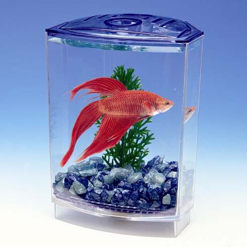 PENN PLAX Akvárium BETTA 10x10x15cm +1 x rostlina+štěrk pro bojovnice