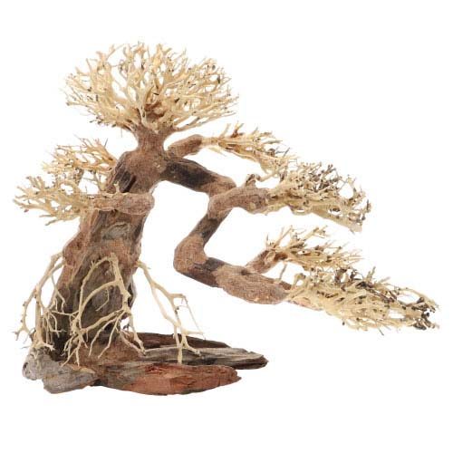 DUPLA Bonsai L -Přírodní dřevěná dekorace do sladkovodního akvária 40x20x30 cm