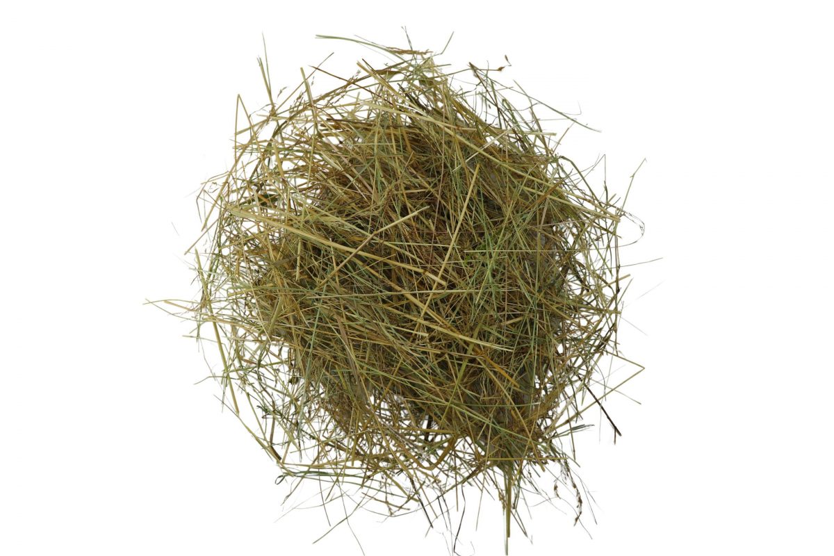 Další foto