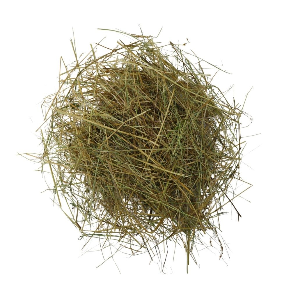 Další foto
