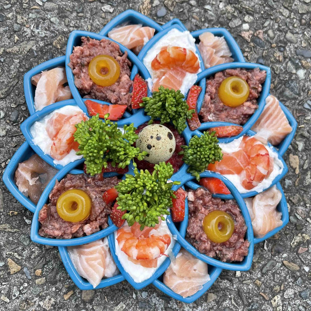 SodaPup Mandala, nylonová senzorická miska – modrá