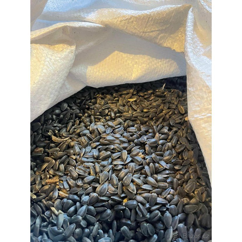NOHEL GARDEN Slunečnice černá 20 kg