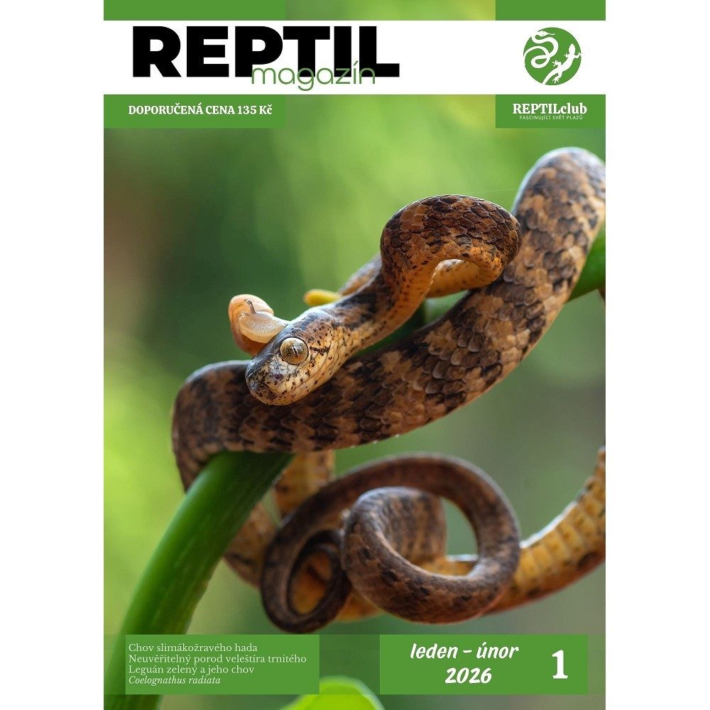 REPTILmagazín