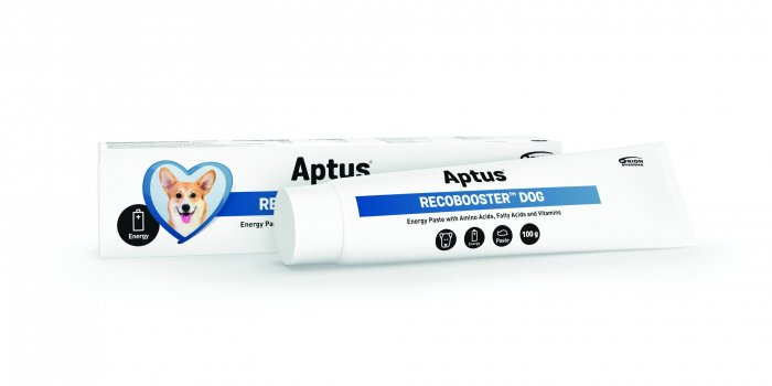 Aptus Recobooster DOG 100g