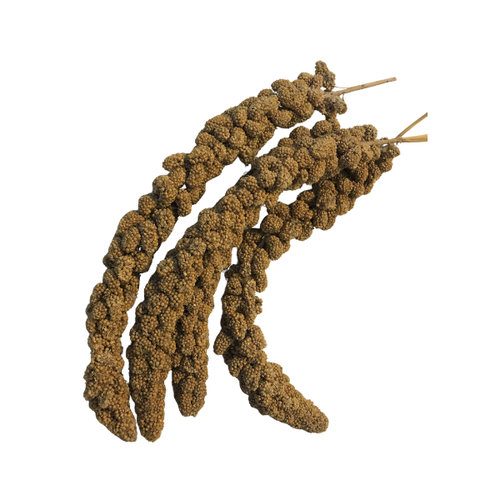 COBBYS PET ZUZU Senegal Millet 300g senegálské proso v klasech