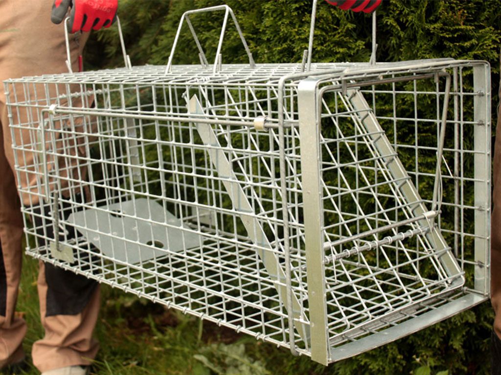 Další foto