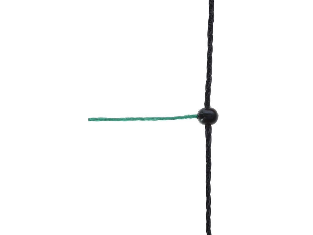 Další foto