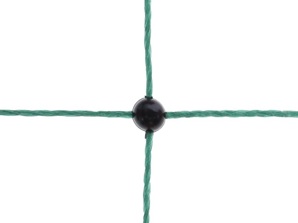 Další foto