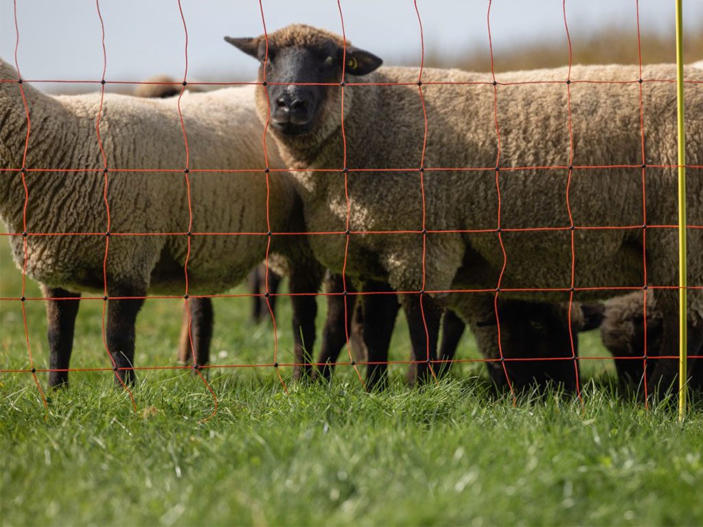 Síť pro elektrický ohradník pro ovce KERBL 27901 90 cm x 50 m / 2 hroty, oranžová
