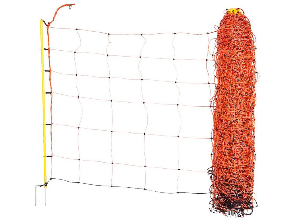 Další foto