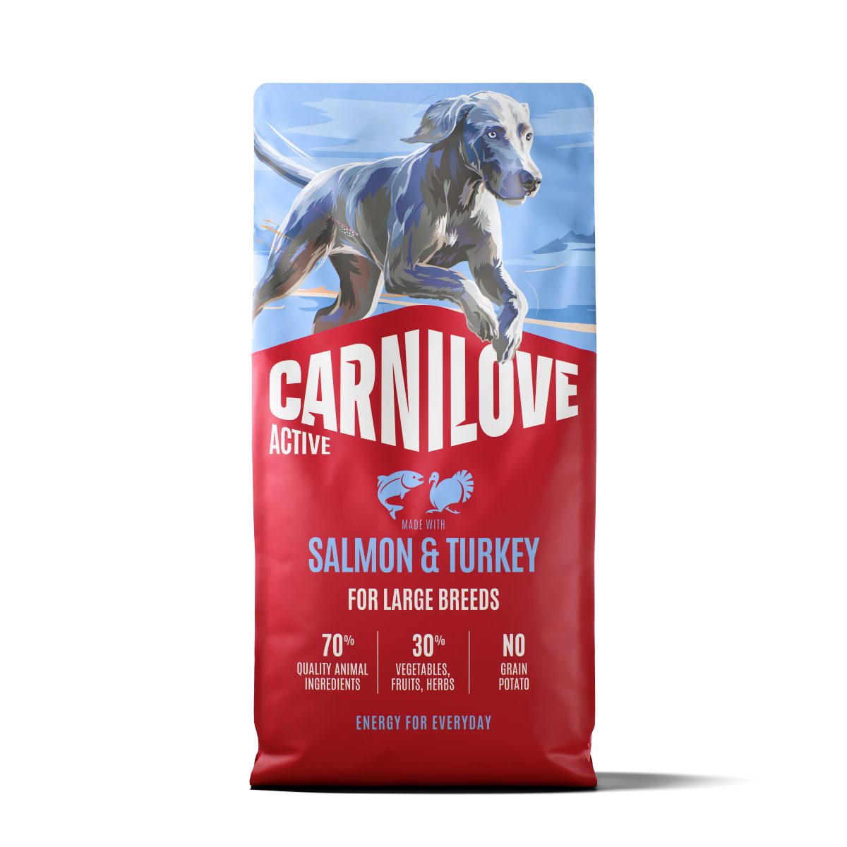 CARNILOVE ACTIVE Dog Dry Made with Salmon & Turkey for Adult Large Breeds 12 kg