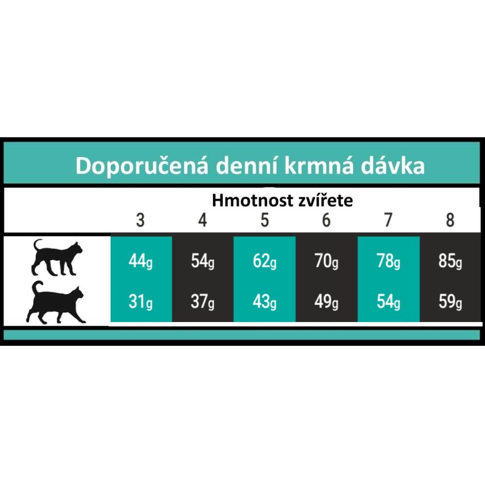 Další foto