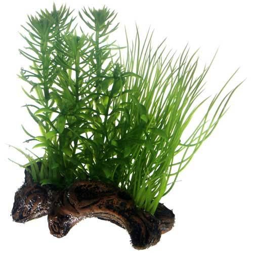 HOBBY rastliny 17 cm na keramickém kořeni do akvária 2S