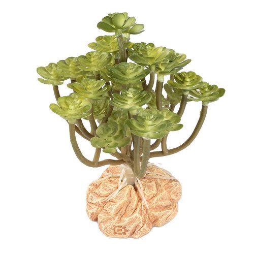 TERRA DELLA Umělá rostlina do terária Aeonium Green 8x8x14cm