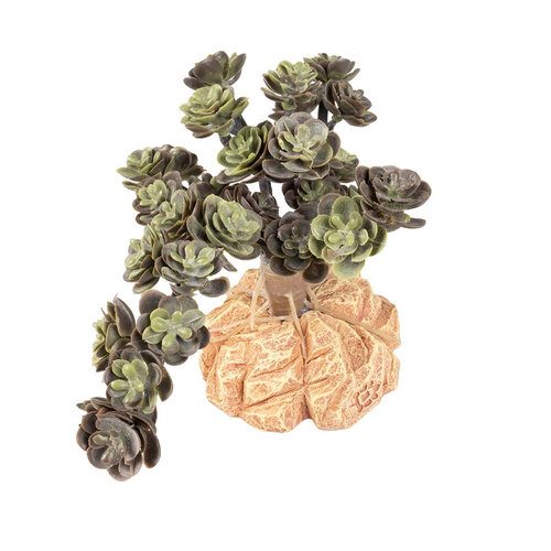 TERRA DELLA Umělá rostlina do terária Sedum spurium Green 15x11x10cm