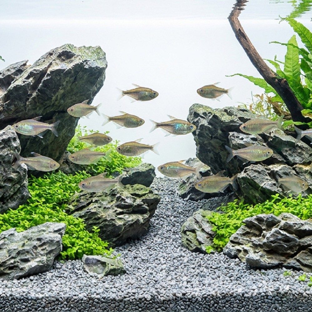 Akvarijní a terarijní štěrk šedý 2 kg DECO
