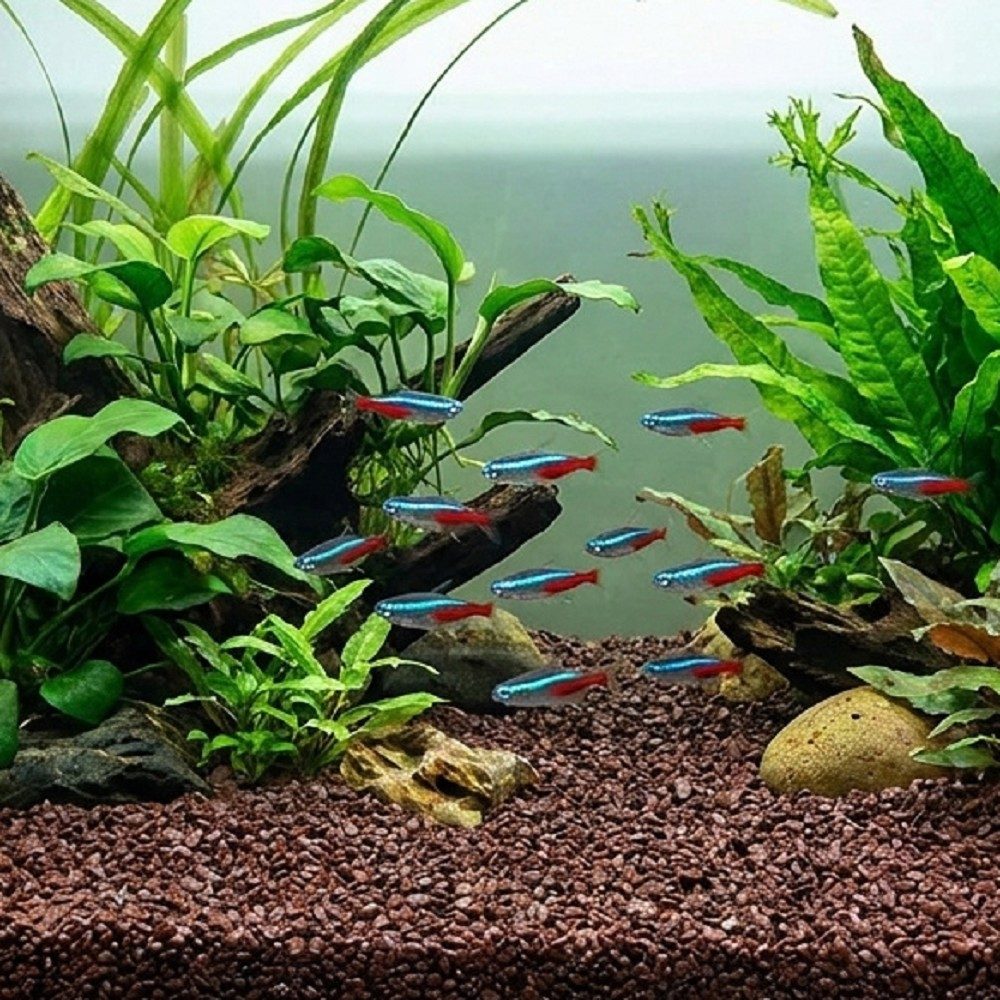 Akvarijní a terarijní štěrk tmavě hnědý 2 kg DECO