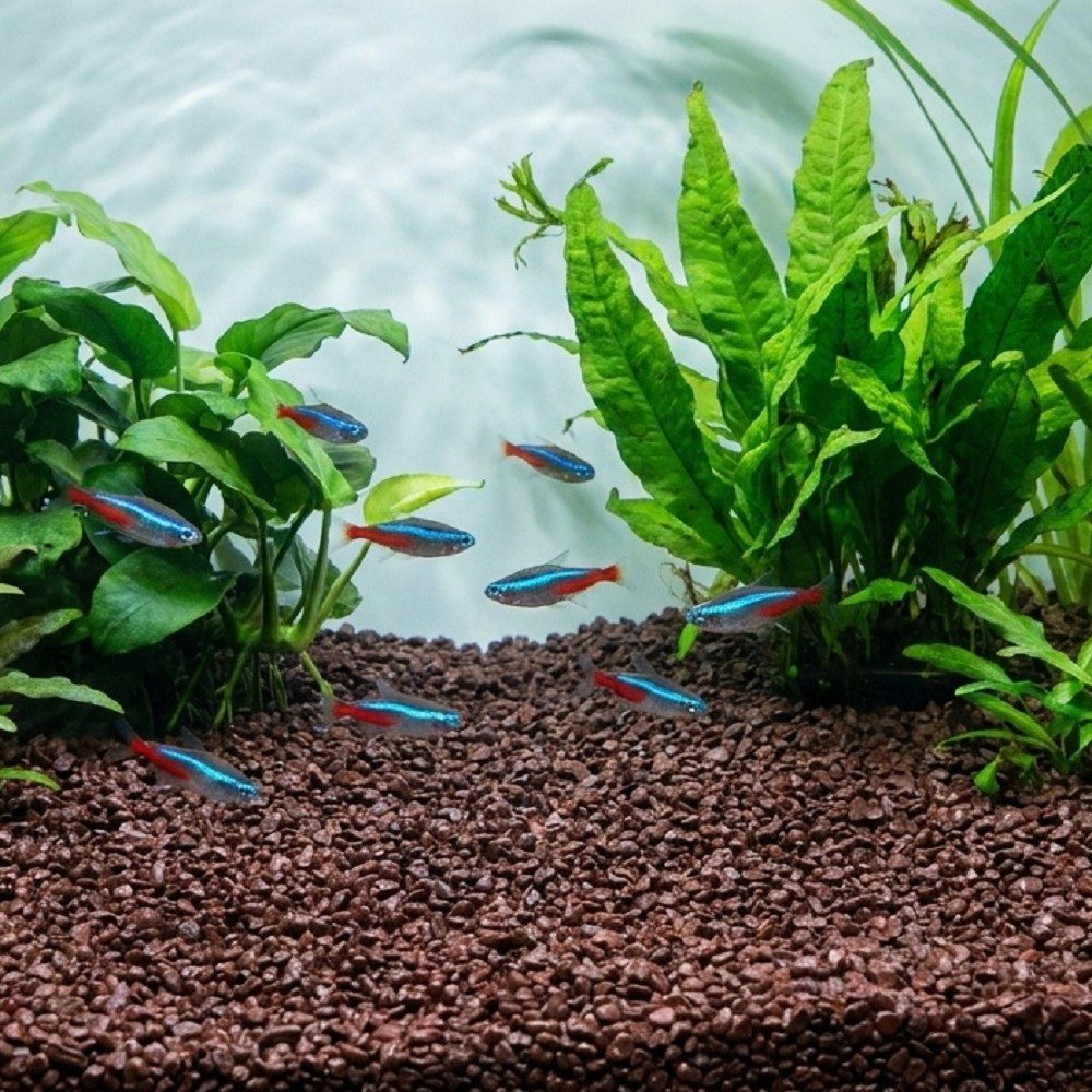 Akvarijní a terarijní štěrk tmavě hnědý 5 kg DECO