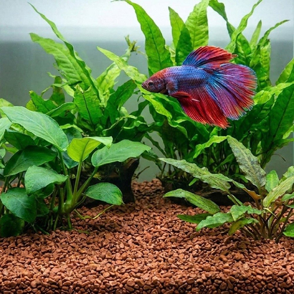 Akvarijní a terarijní štěrk hnědý 2 kg DECO