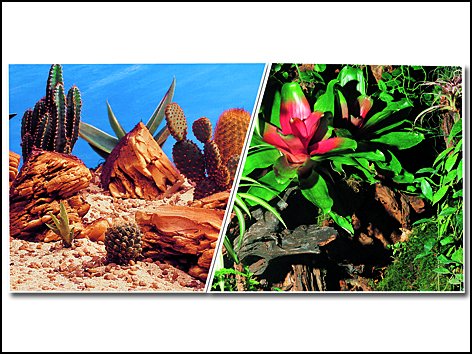 Pozadí MARINA tapeta terarijní oboustranné 760 x 30 cm 7,6m
