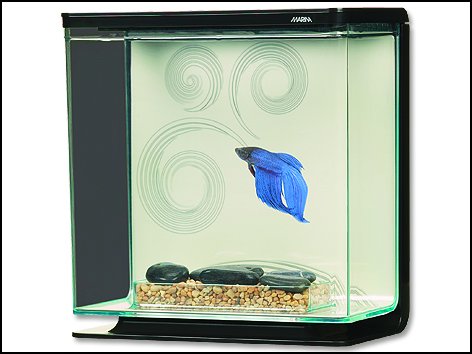 Marina Betta Kit Zen 3 l