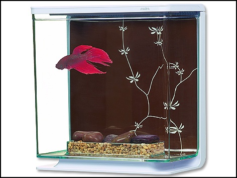 Marina Betta Kit Contemporary 3 l
