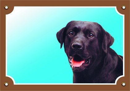 Tabulka labradorský retriever černý