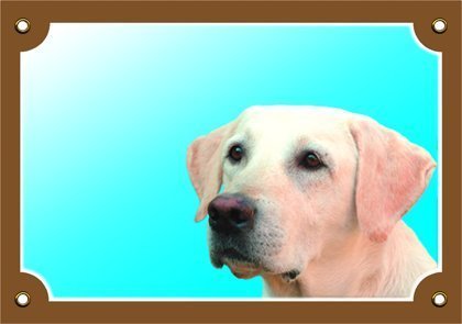 Tabulka labradorský retriever světlý