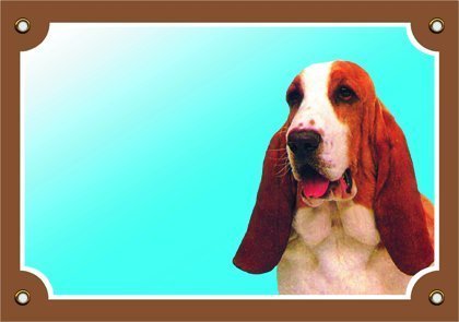 Dafiko Tabulka Baset Hound