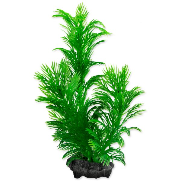 Rostlina Green Cabomba Plus 15 cm