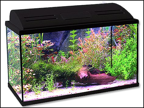 Akvárium set BALI 80 x 35 x 40 cm 112 L