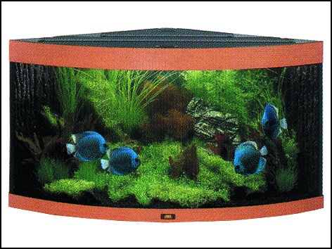 Akvarium Trigon 350 buk 350 l