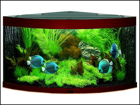 Akvarium Trigon 350 tmavě hnědé 350 l