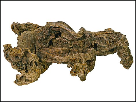 Dekorace Savanna wood L