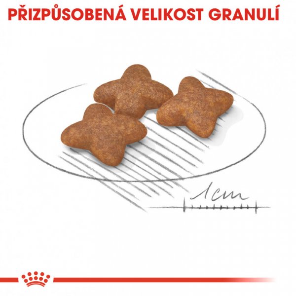 Další foto