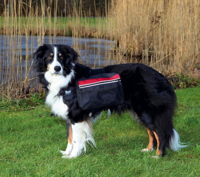 Trixie Batoh na záda L 28x18cm