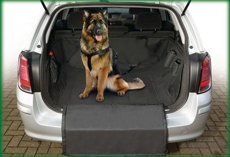 Ochranný autopotah do kufru pro psa 1,65x1,26m KAR