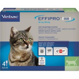 Effipro Duo Cat 50/60 mg spot-on 4 x 0.5 ml