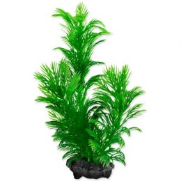 Rostlina Green Cabomba Plus 15 cm