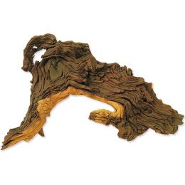 Hobby Dohse Tropical wood S 24 cm